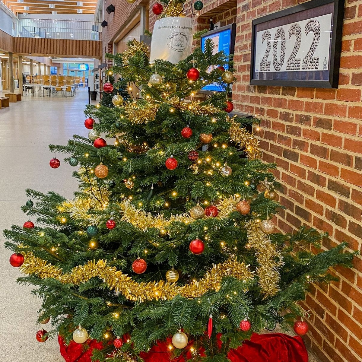 The Minster School Christmas Tree Donation
